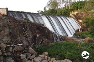 Lazer em Campinas - Passeios