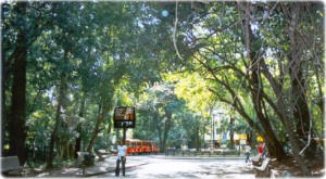 Parques municipais em Campinas