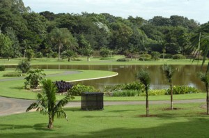 Parques municipais em Campinas