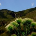 Parques Nacionais: Passeios na Natureza