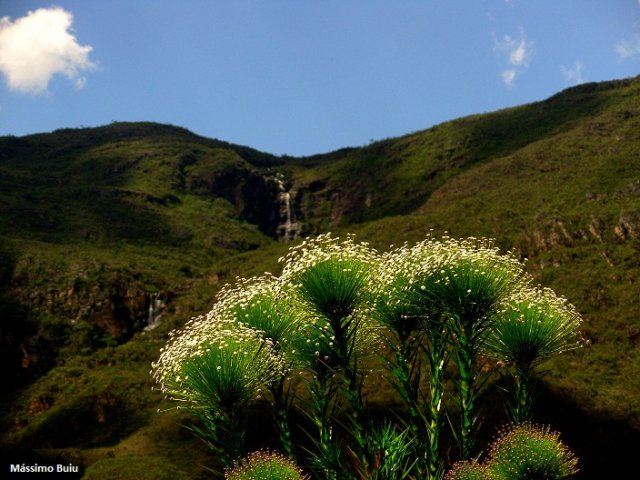 Parques Nacionais: Passeios na Natureza