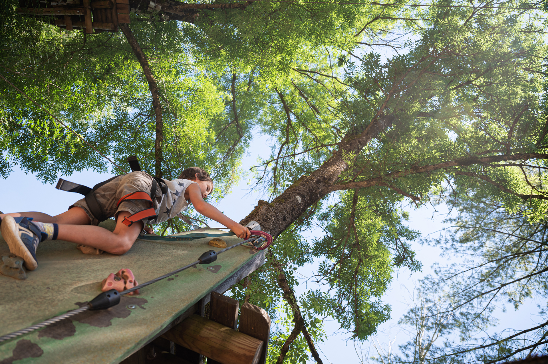 View from below of a young boy climbing up a climbing wall on a tree.